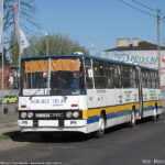 100_lat_rudy_i_aleks_02