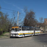 100_lat_rudy_i_aleks_03