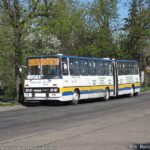 100_lat_rudy_i_aleks_04