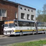 100_lat_rudy_i_aleks_06