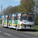 100_lat_rudy_i_aleks_17